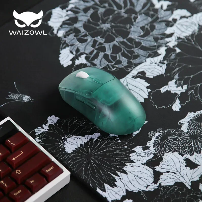 Waizowl OGM Pro Wireless Mouse - Laptop Electronics Accessories recension och pris